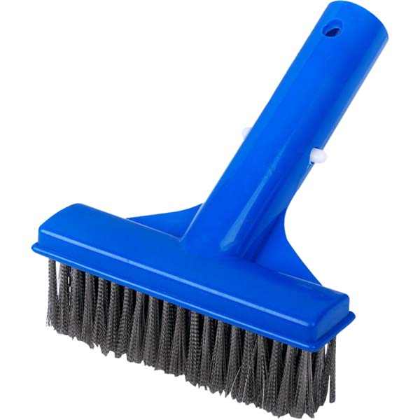 SPLASH Alga kefe 5" [ AQ140025 ]